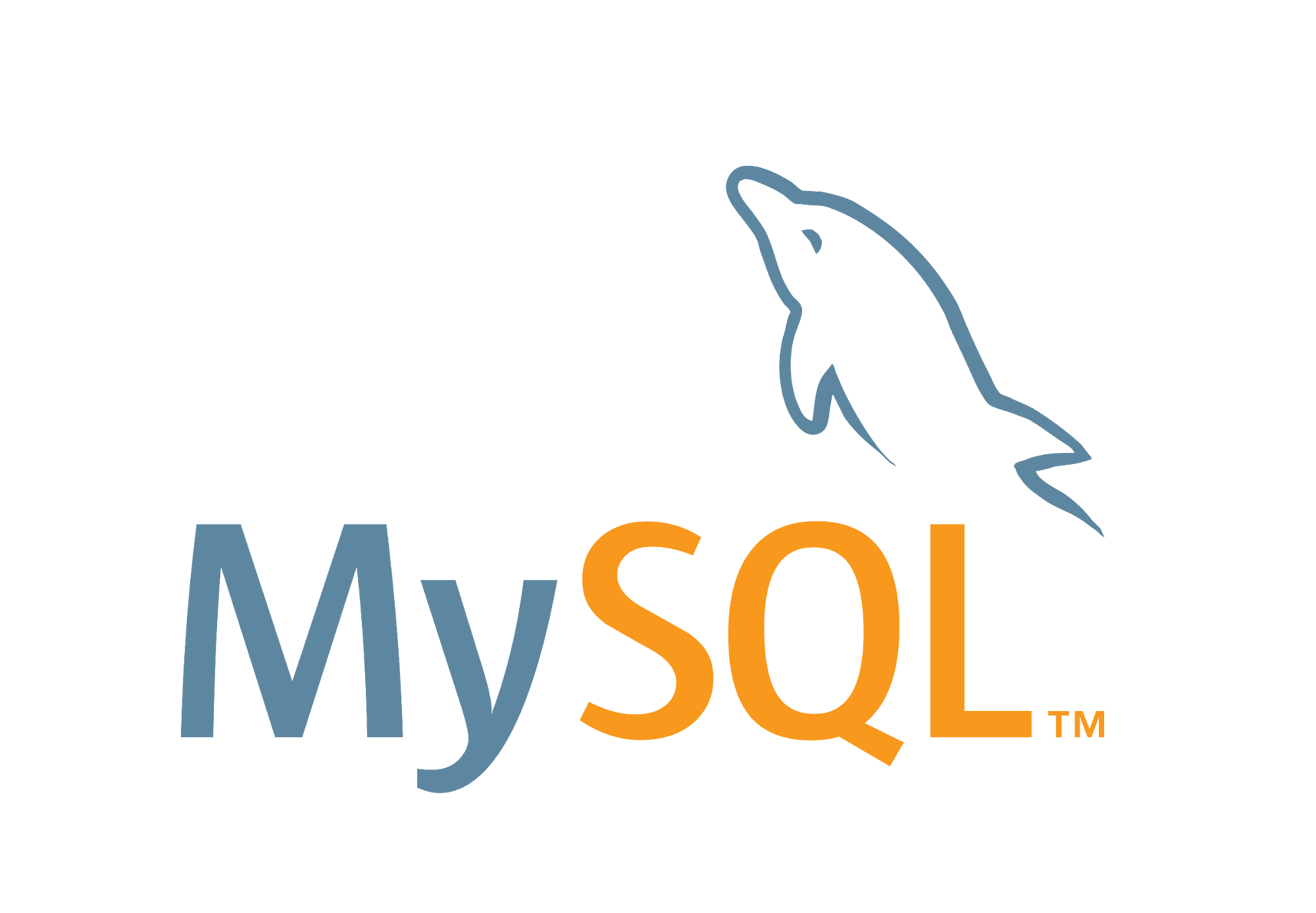 Web Design Company