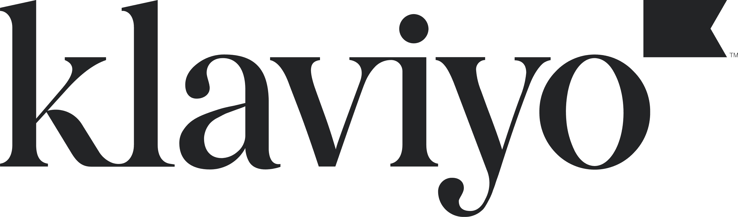 Klaviyo_primary_logo.svg Web Design Company